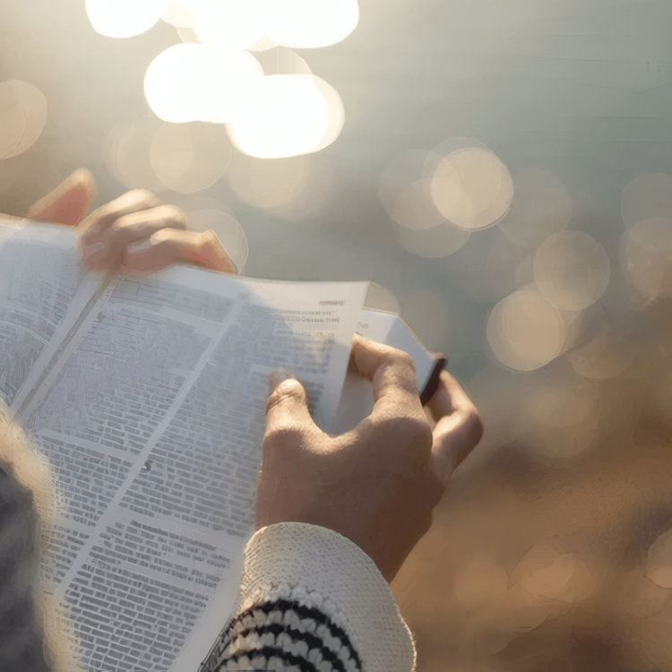 Just another WordPress site